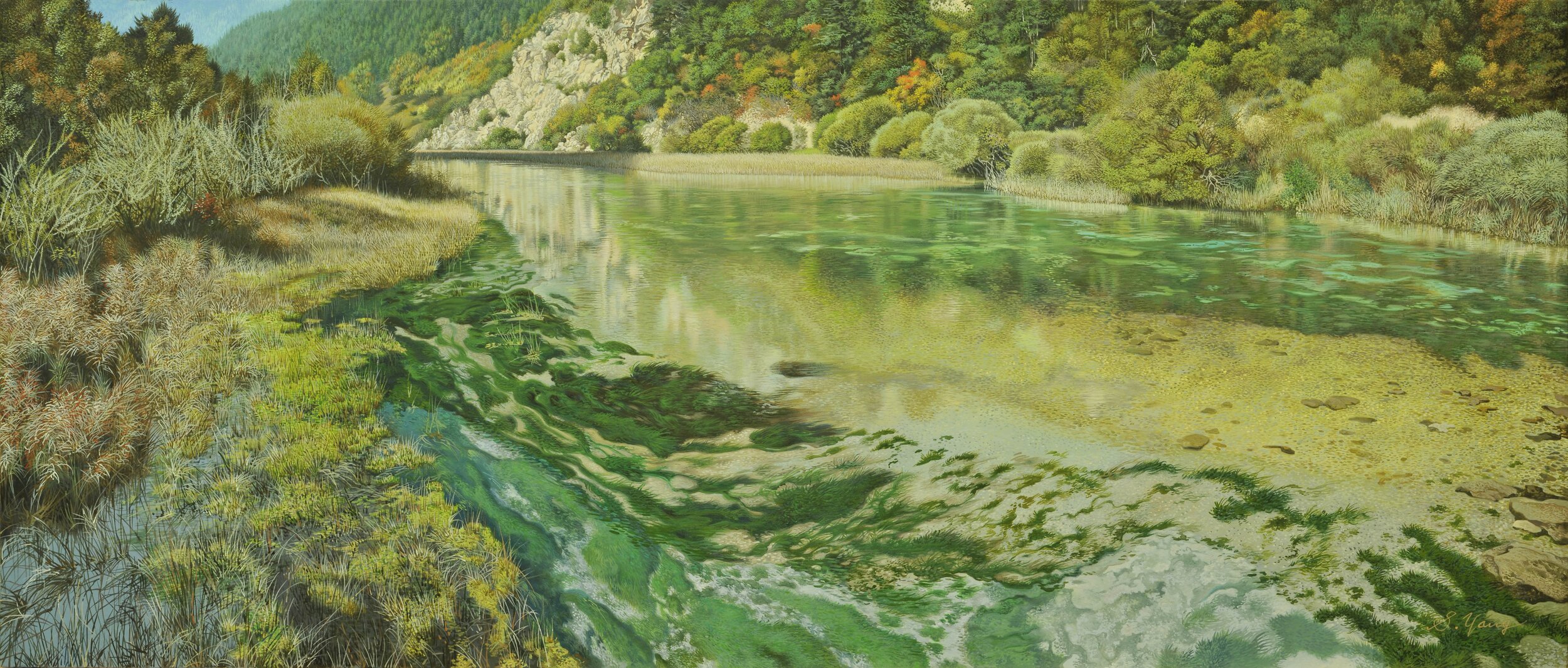 Valley and green stream-min.jpg