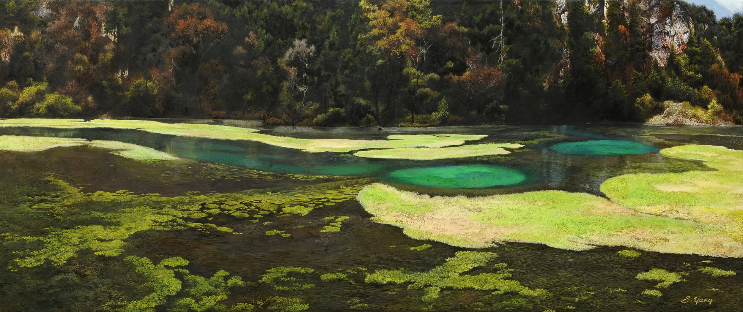 Green lake and marshland.jpg