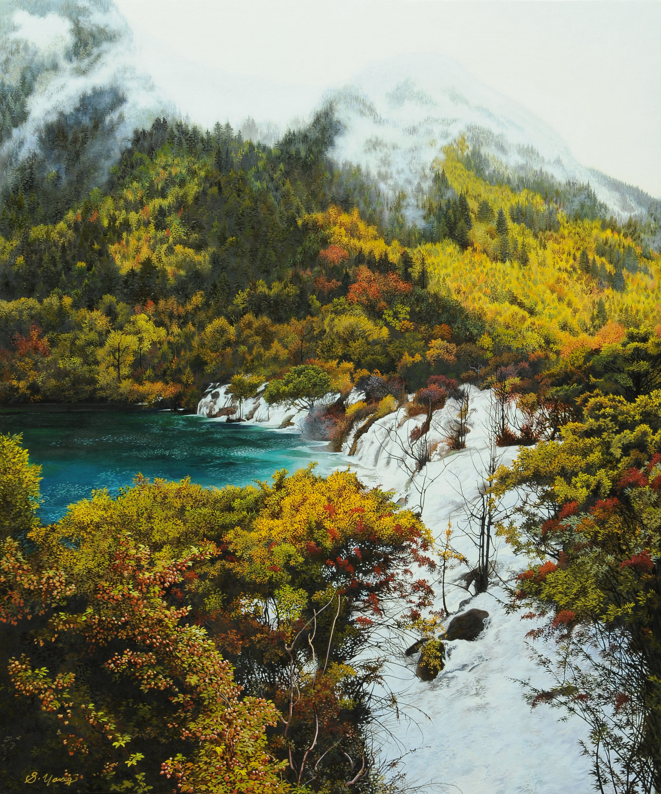 Waterfall view through forest .jpg