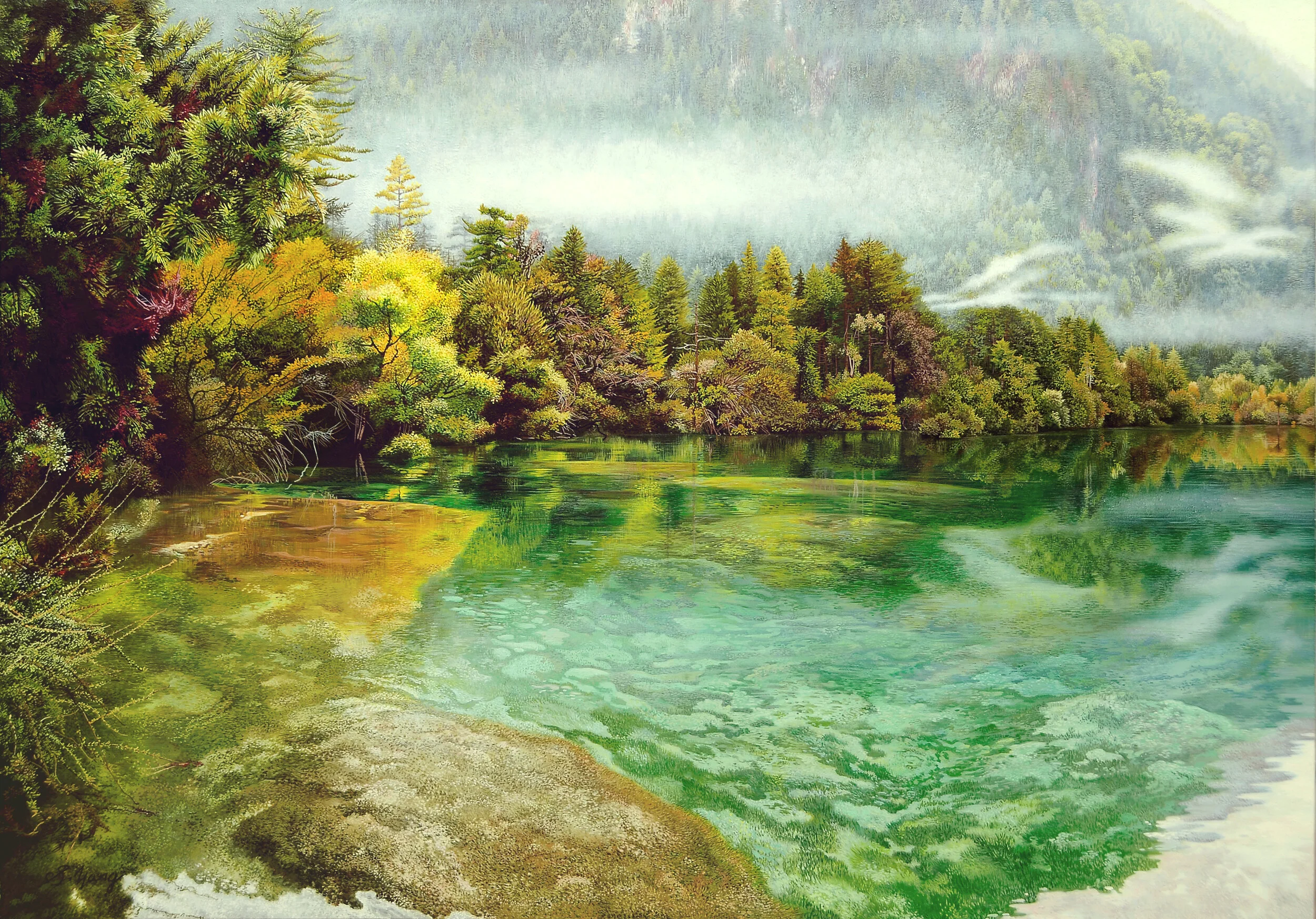 Pond and fog.jpg