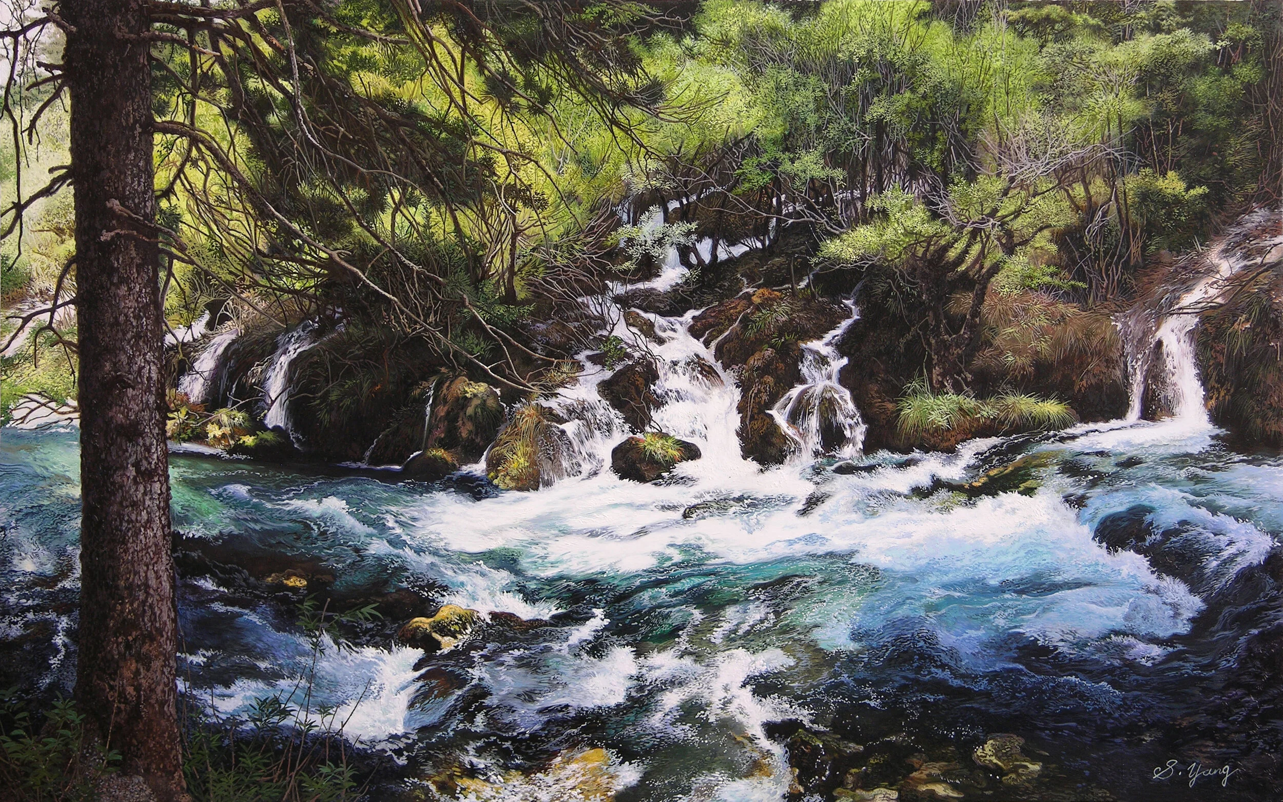 Water flowing through Pine strees.jpg