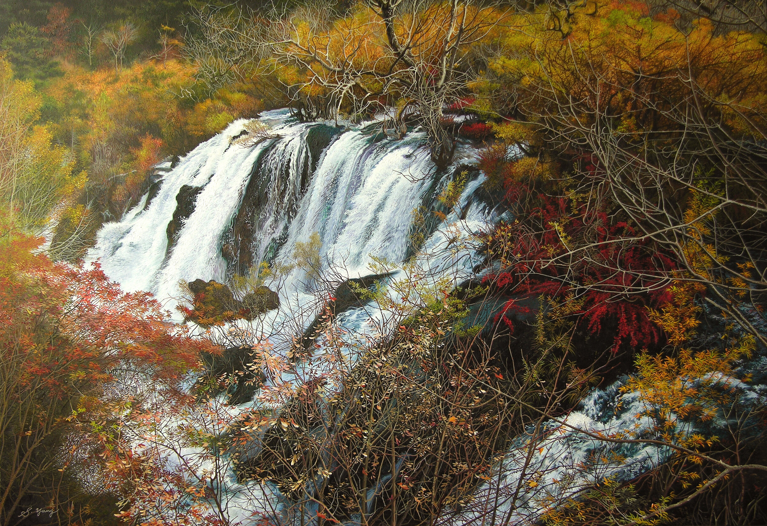 Water splashing through fall woods.jpg