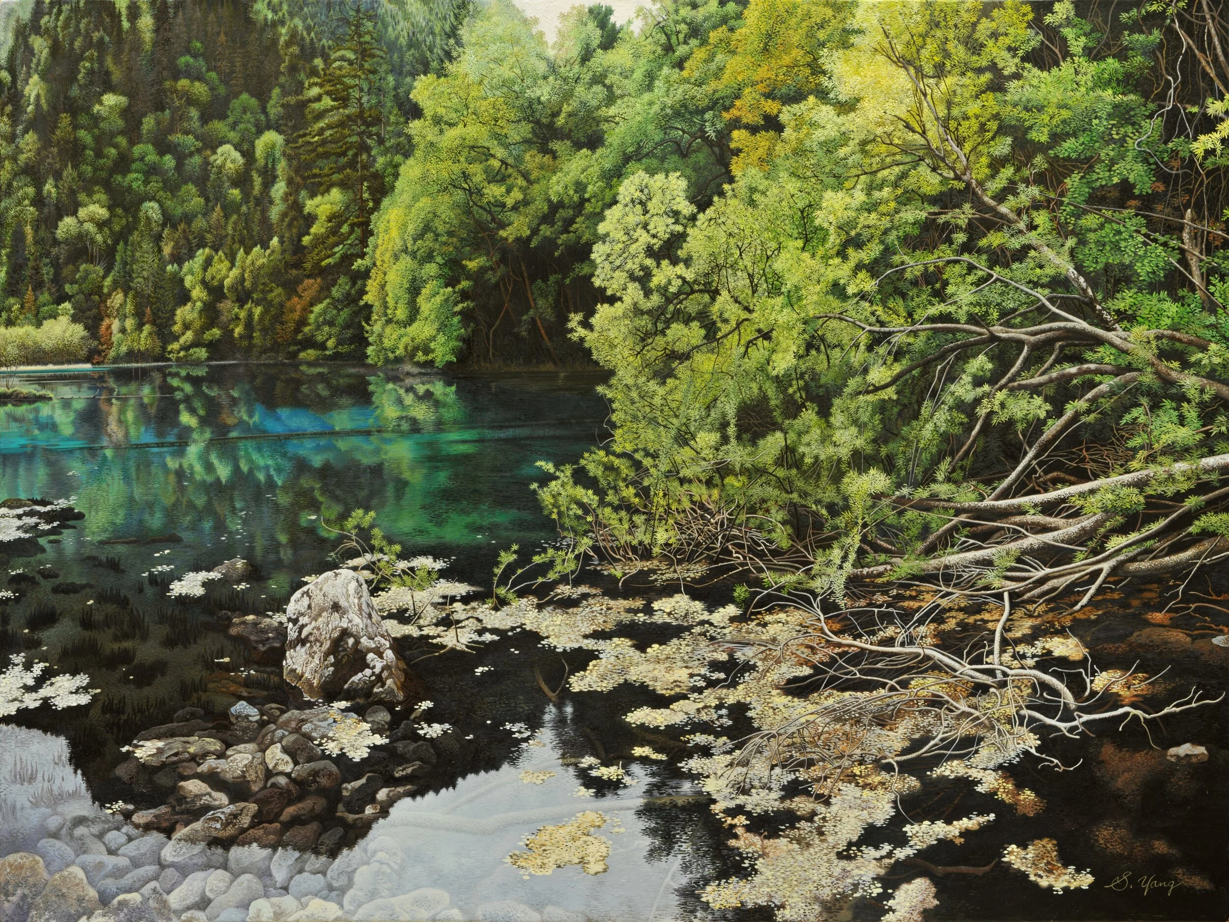 Green lake and Green leaves 1.jpg