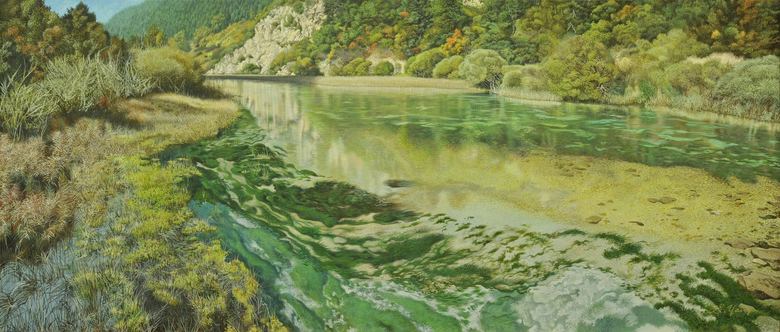 Valley and green stream-min.jpg