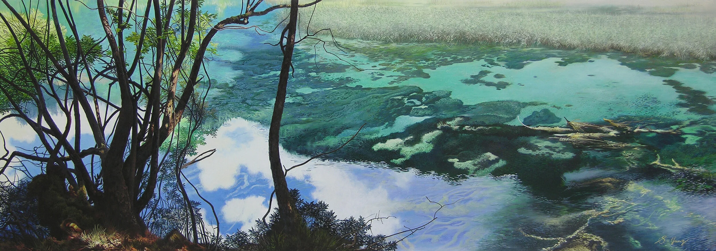 Cloud blending in green lake.jpg