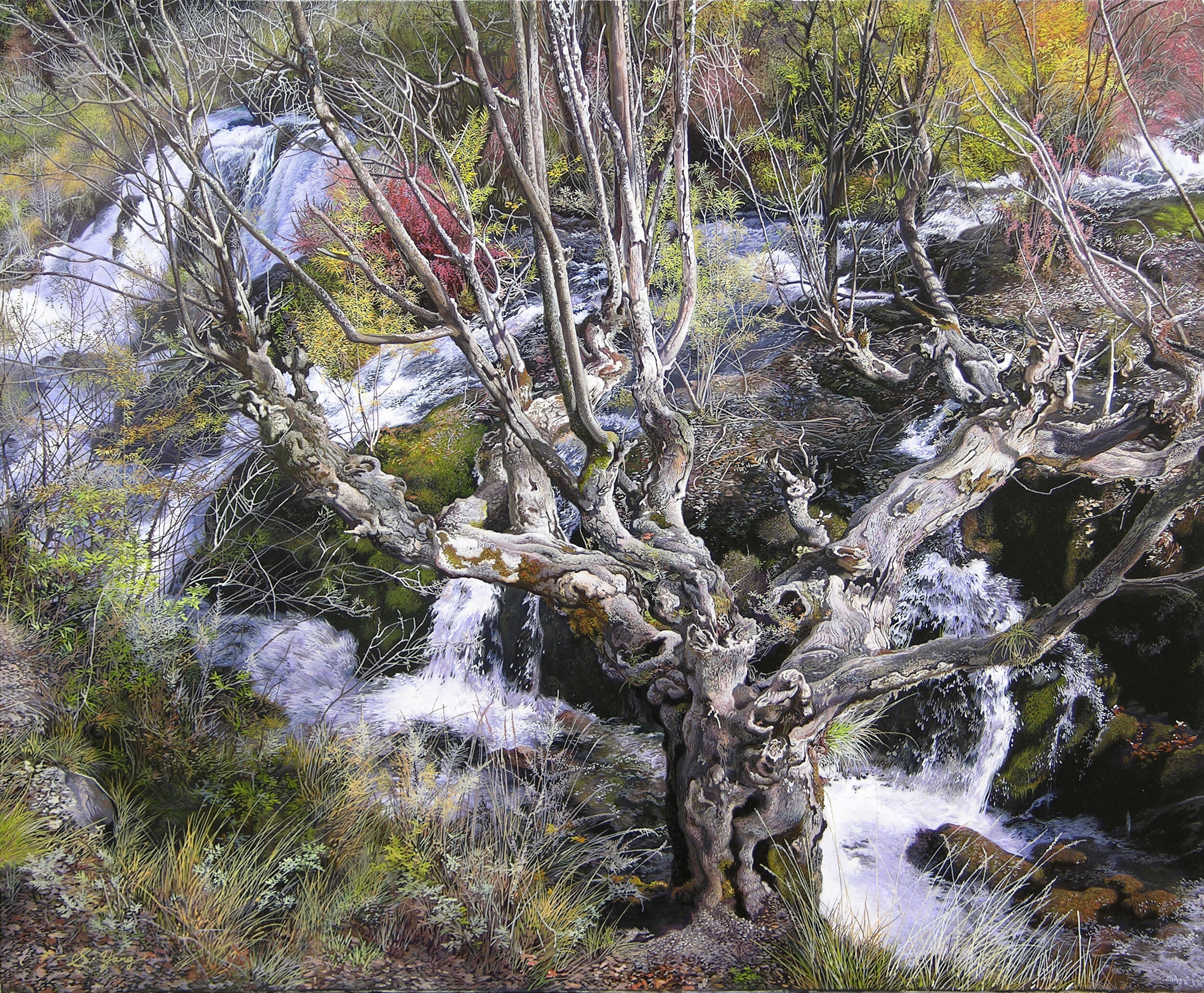 Strong tree standing in the stream.jpg