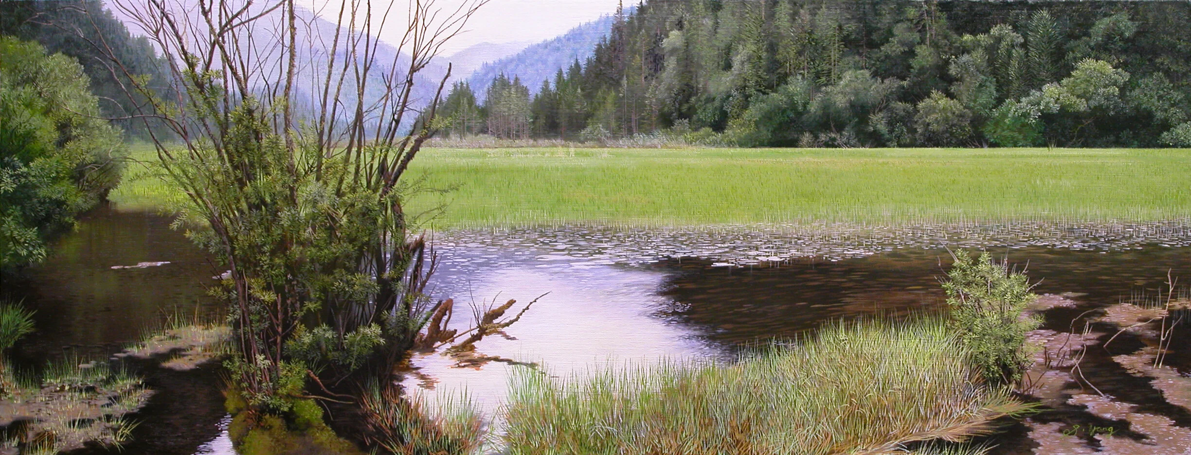 Green grass like sting.jpg