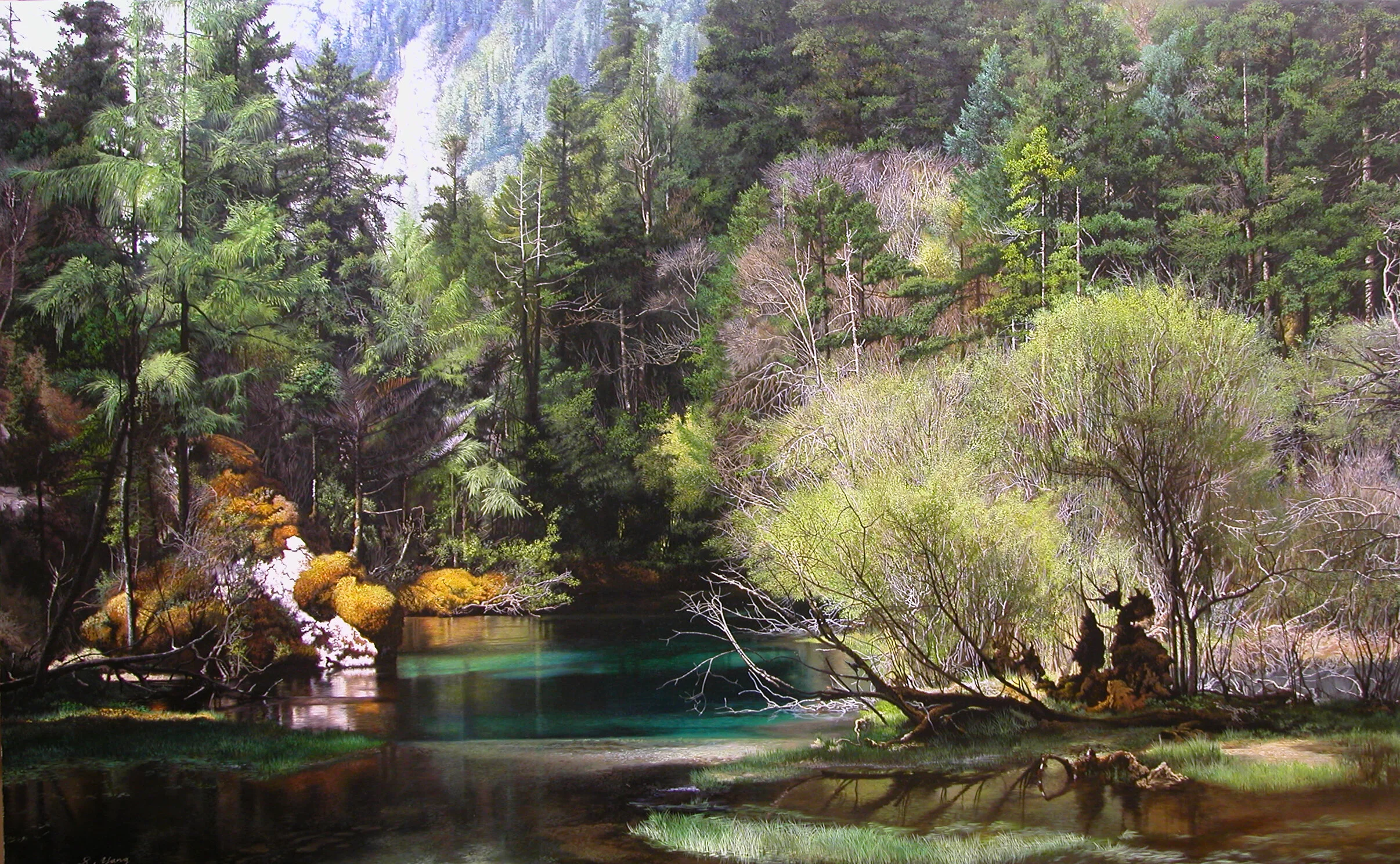 Deep unknown forest.jpg