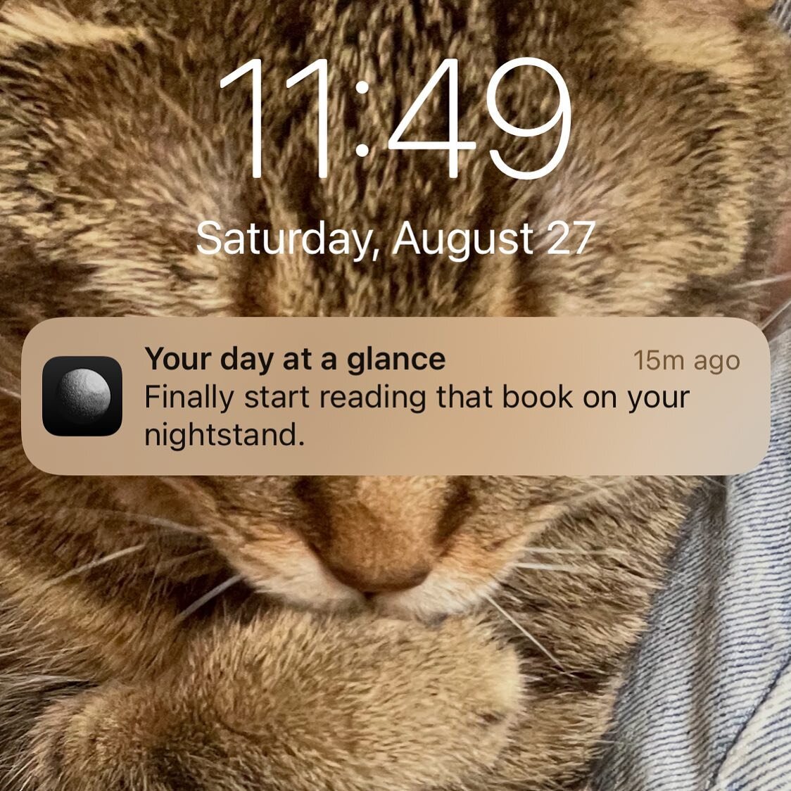 📞 Hi dad, can you pick me up? @costarastrology is bullying me again.