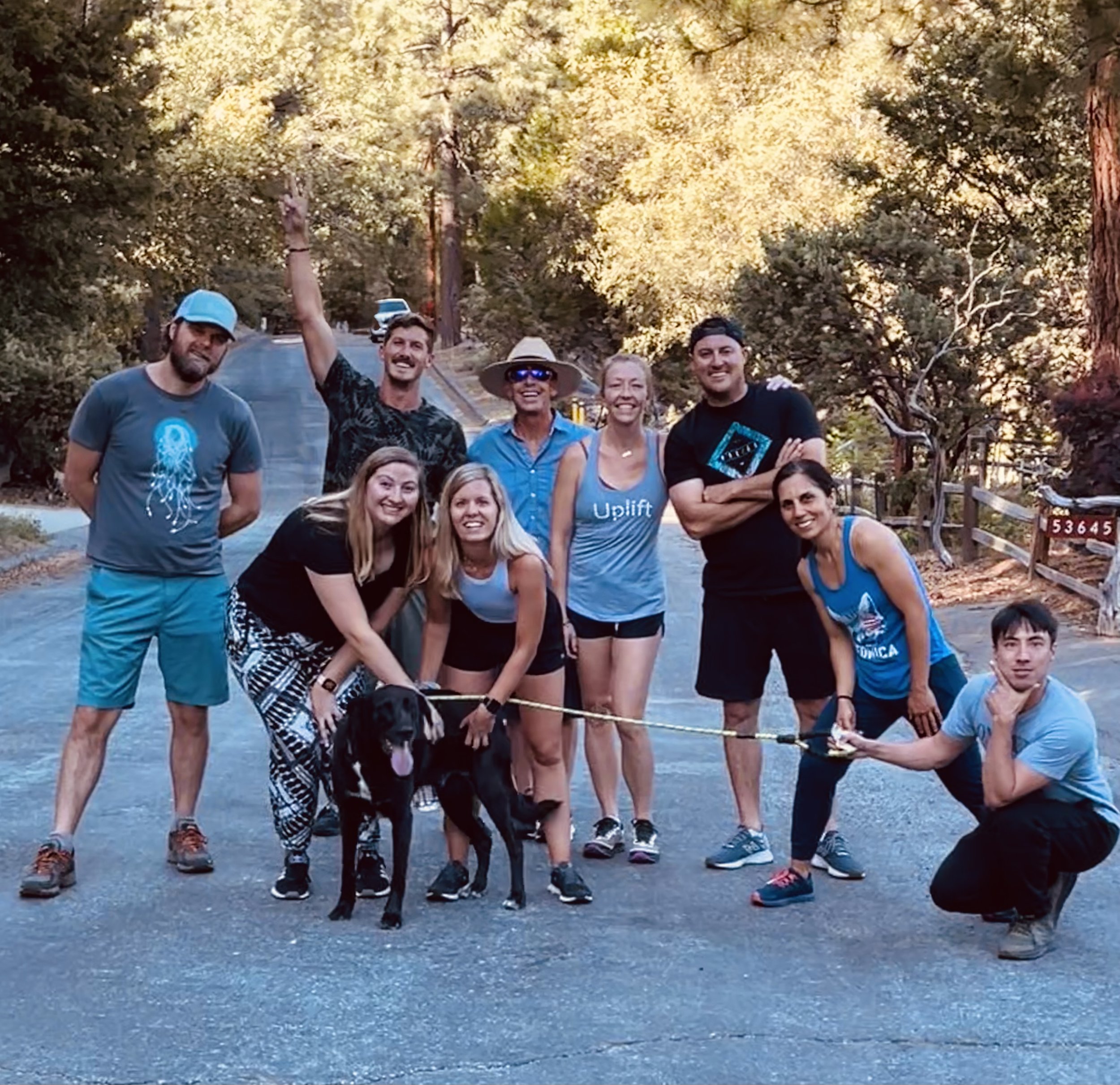 Retreats | Transform & Reconnect — Zen Mountain Retreats