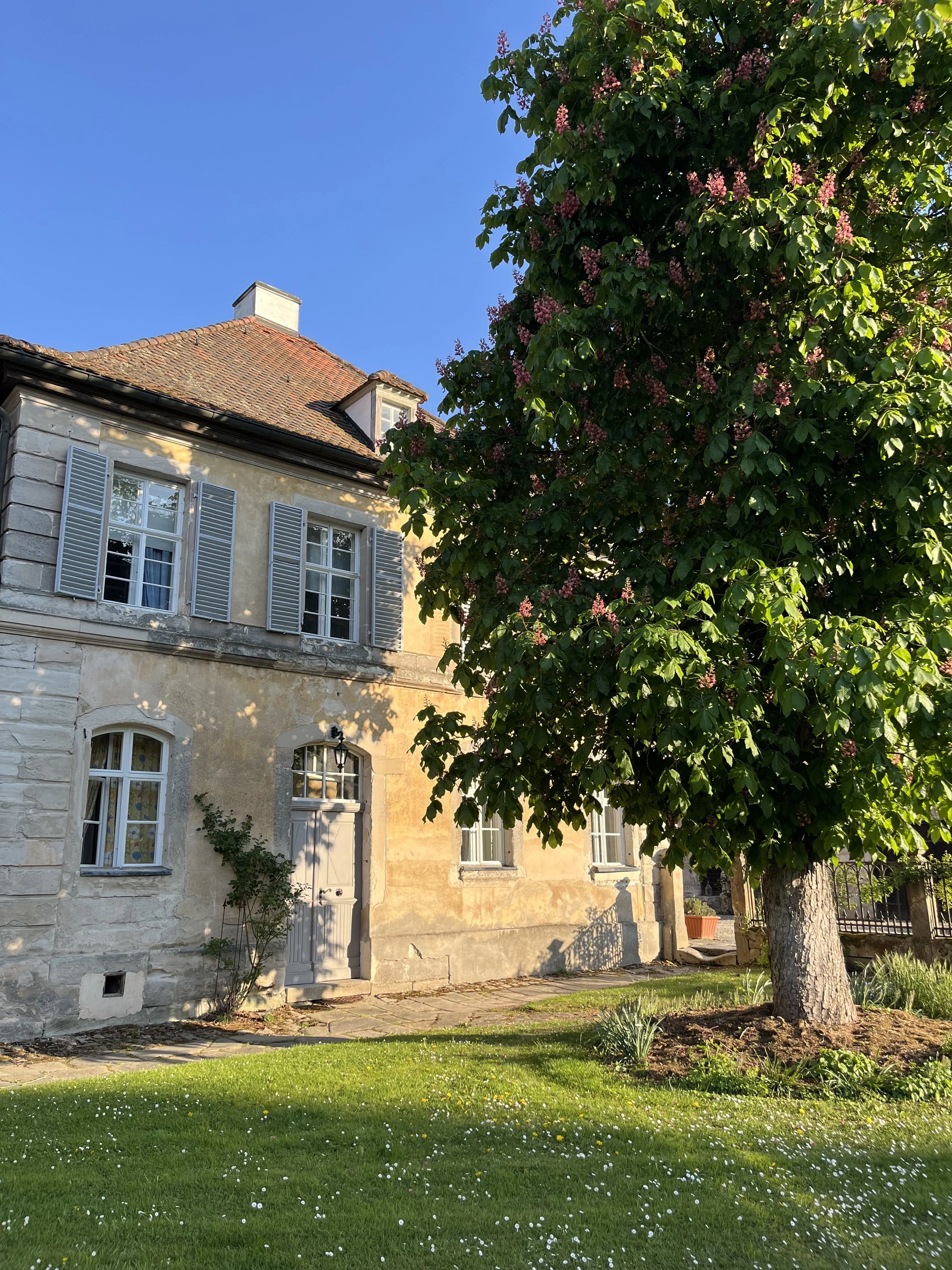 IMG_6209.jpeg
