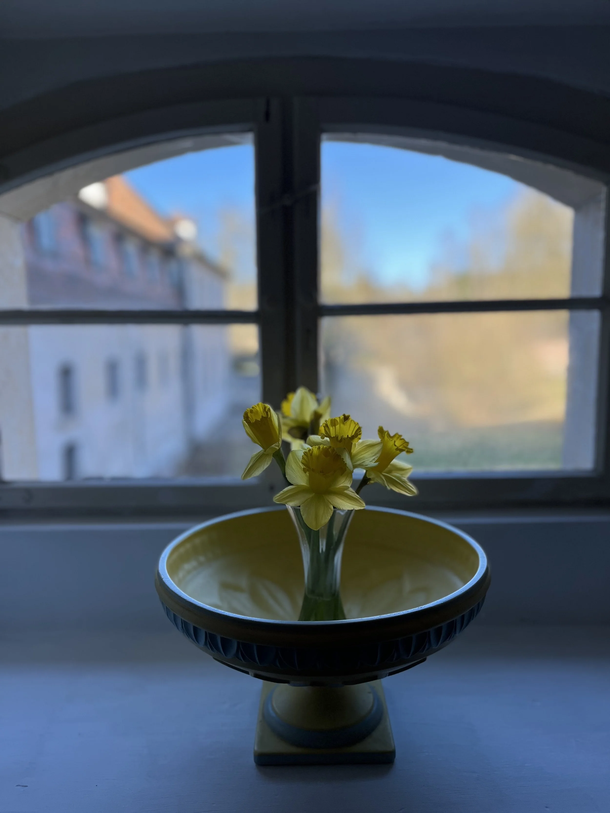 IMG_5554.jpeg