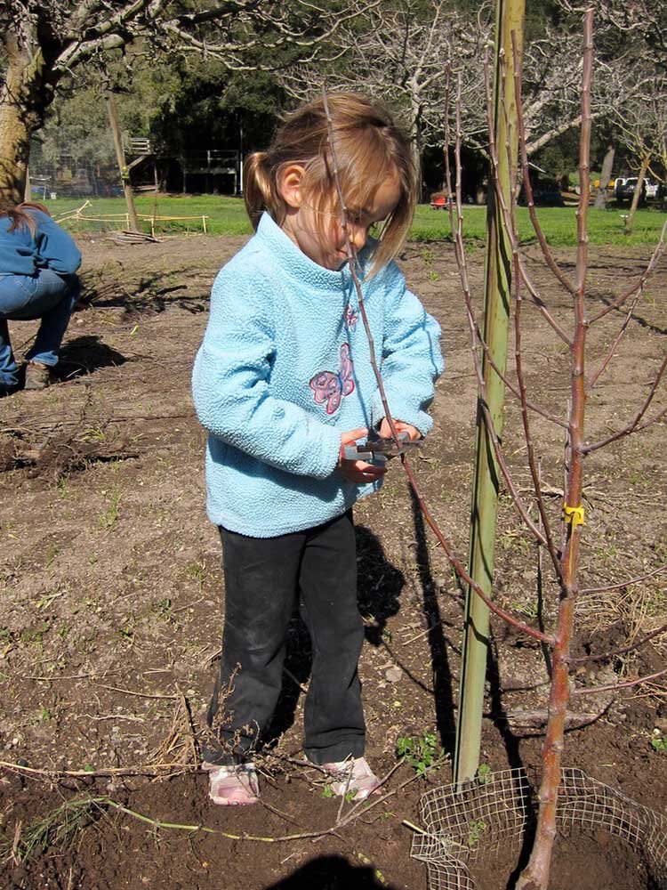 Ruby-trimming-trees.jpg