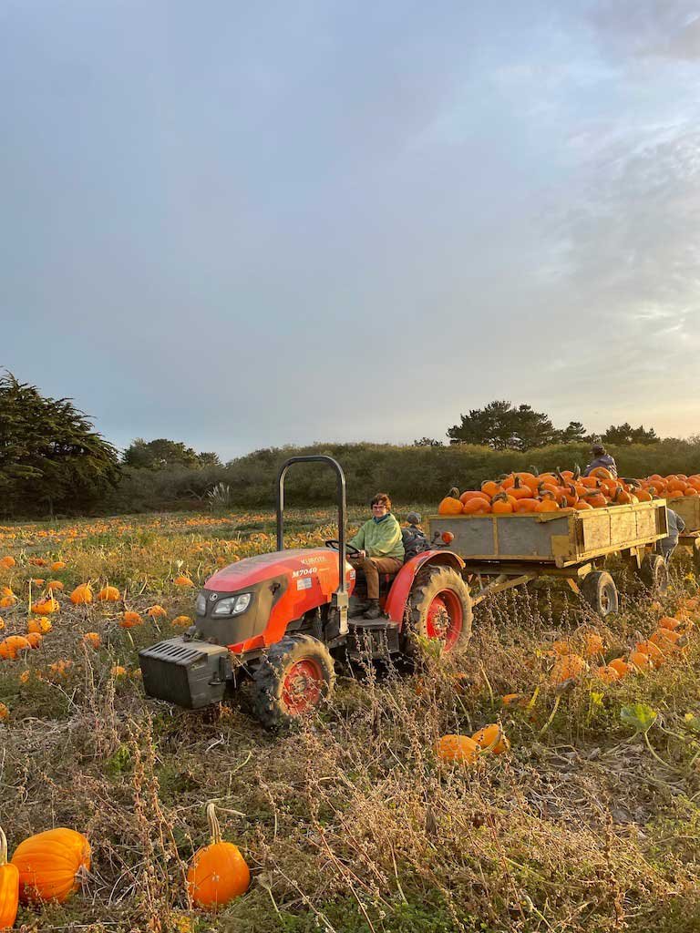 Mary-Tractor-Pumkin-2021.jpg