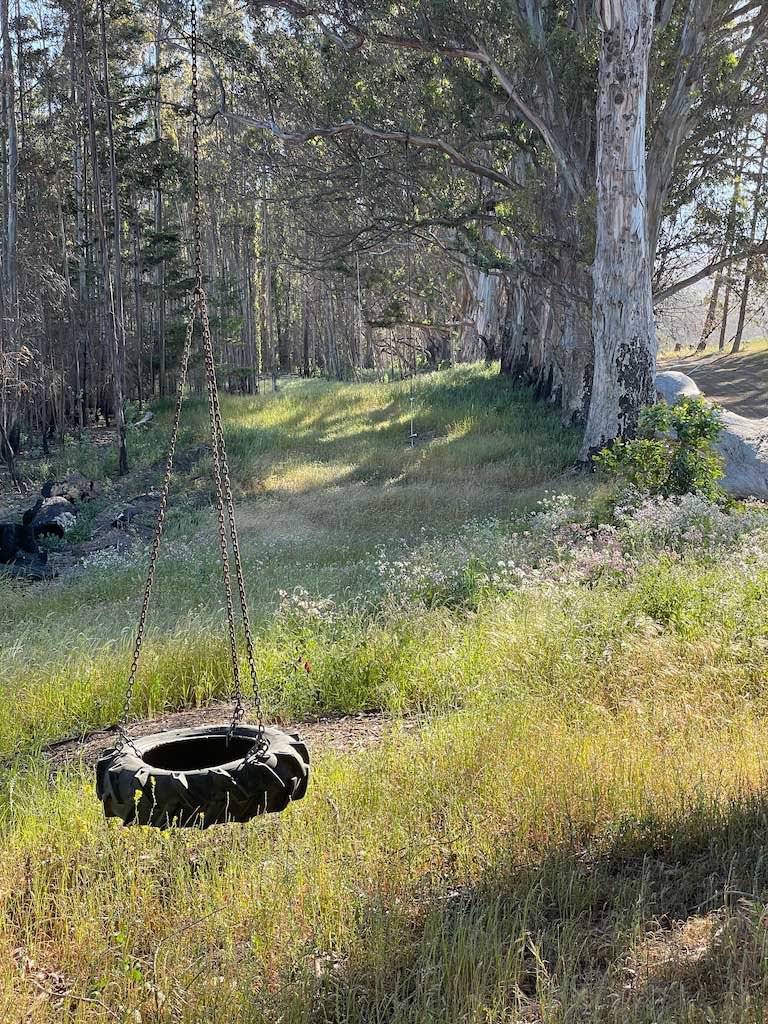 tire-swing-summer-2021.jpg