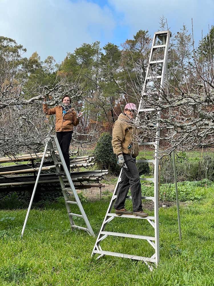 ann-and-mary-trimming-apples.jpg