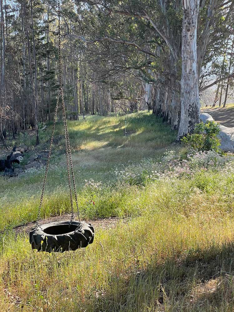 tire-swing-summer-2021.jpg