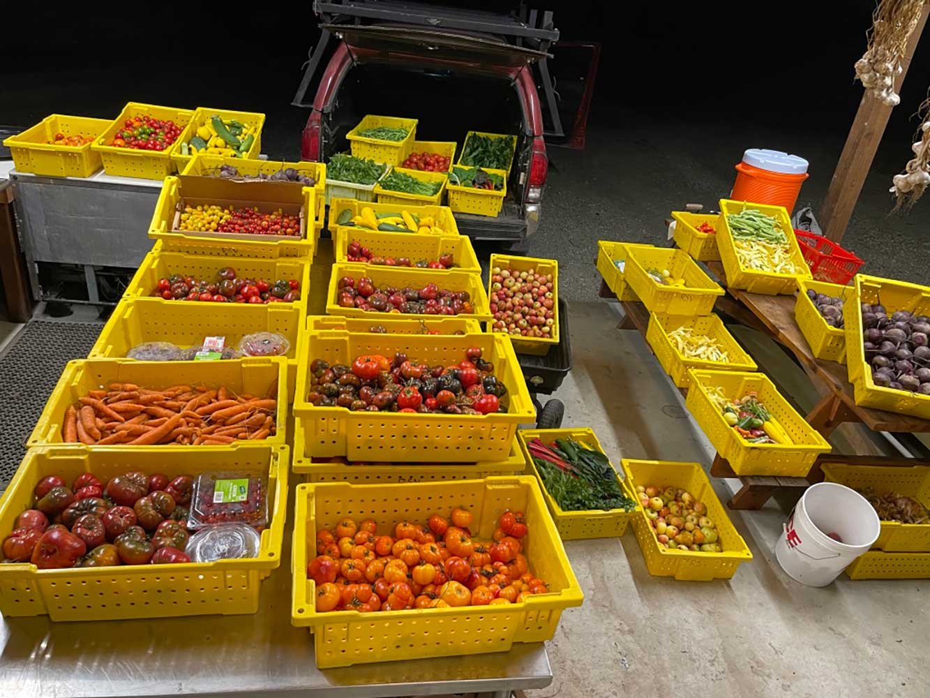 veggies-for-foodbank-loading.jpg