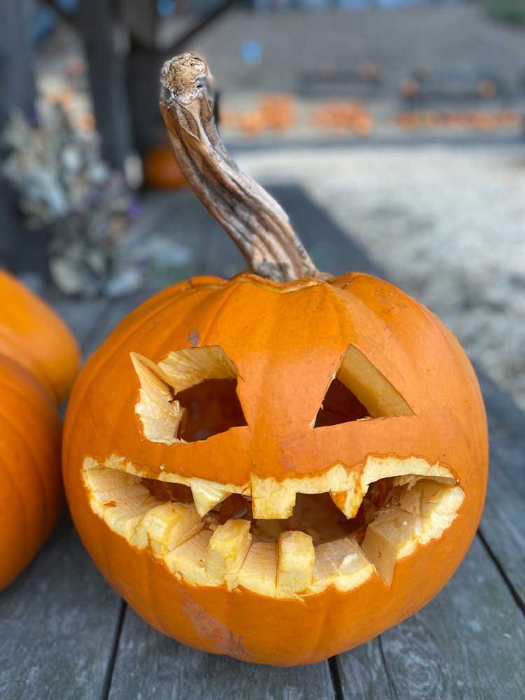 rsv-trees-pumpkin-farm-pumpking-picking-festival-santa-cruz-half-moon-bay-pescadero1-pumpkin-smile.jpg