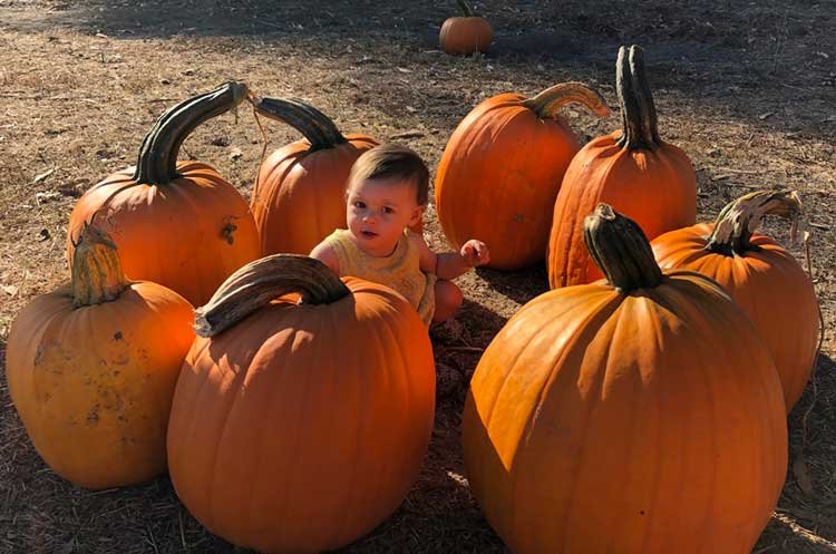 rsv-trees-pumpkin-farm-pumpking-picking-festival-santa-cruz-half-moon-bay-pescadero5.-Auna-sizing-up-the-pumpkins.jpg