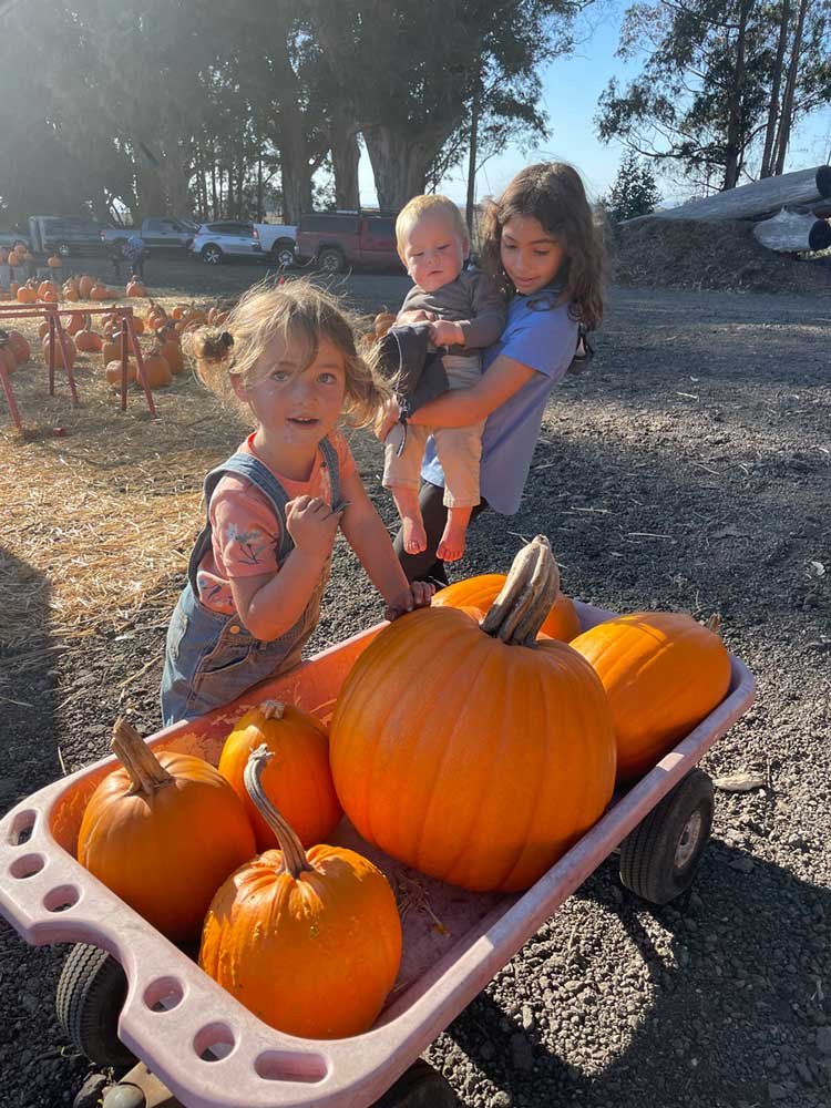 rsv-trees-pumpkin-farm-pumpking-picking-festival-santa-cruz-half-moon-bay-pescadero8.-Greta-with-her-5-pumpkins.jpg