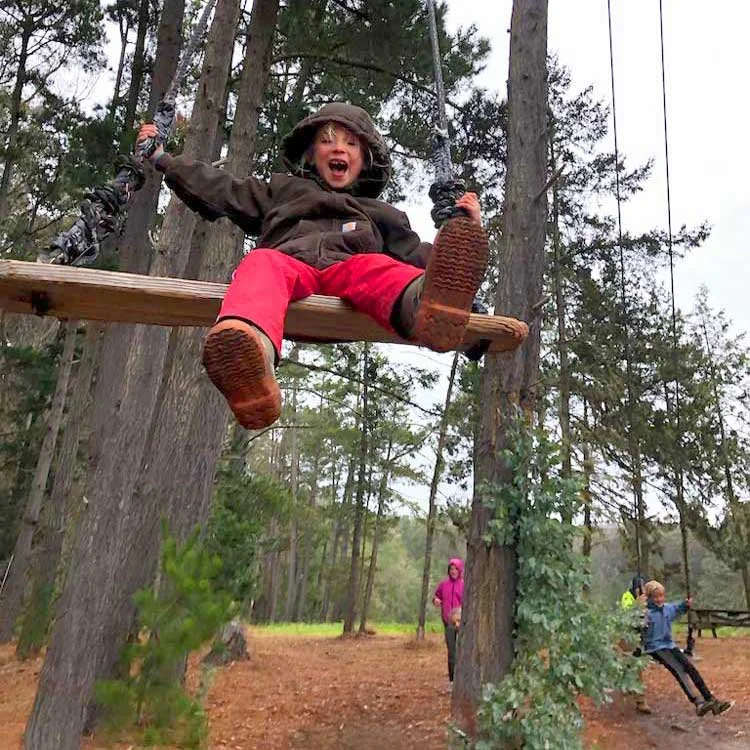 Swing on the Swings