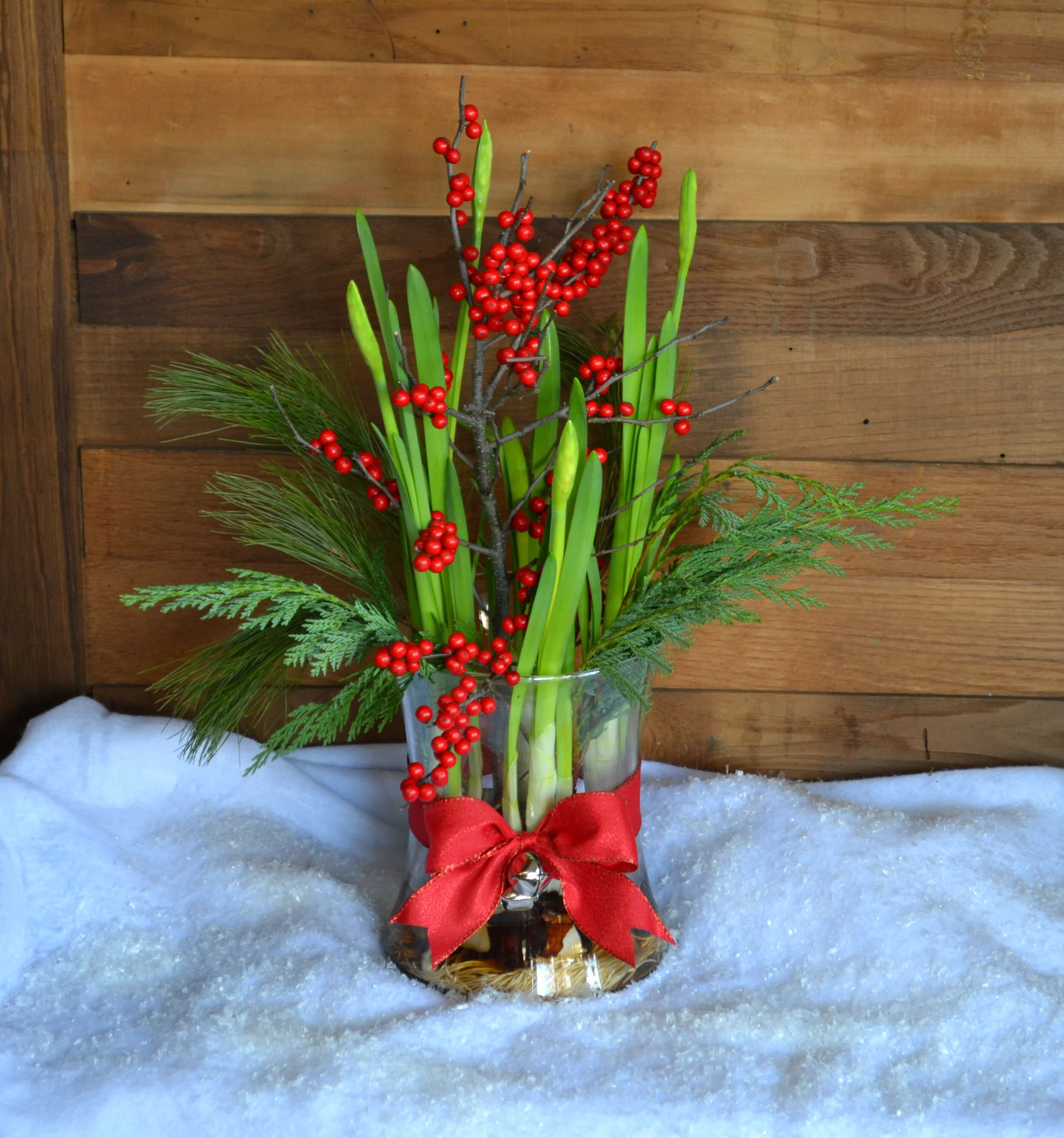 Blooming Holiday Paperwhites