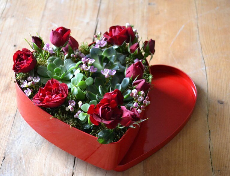 Desert Rose 🌹
**********************
Keepsake Heart tin holds beautiful succulents, roses and waxflower for your Valentine! The tin can be repurposed to hold sweet mementos ❣️❣️❣️

#ClevelandsFavoriteFlorist #ClevelandValentine #ValentinesDay2021 #V