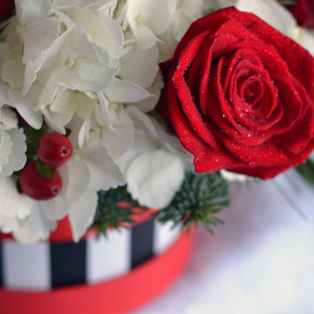 ❄️❄️🌹❄️❄️
&ldquo;All Wrapped Up&rdquo;
This classic keepsake hat box is bursting with a floral display beautifully designed for this year`s holiday cheer. Compact with red roses, red garden spray roses, white hydrangeas, red hypericum berries and se