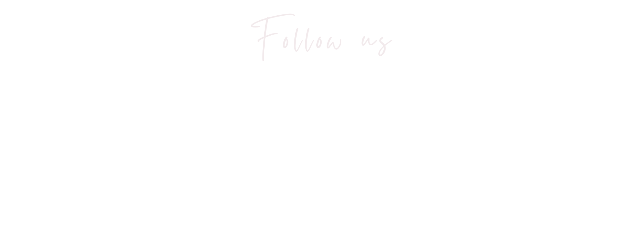 Black background with white and pink text. Centered text says 'Follow us' in a cursive font, below that it says 'For updates about upcoming workshops and interactive experiences at Alexander's Floral Designs!' in a regular font.