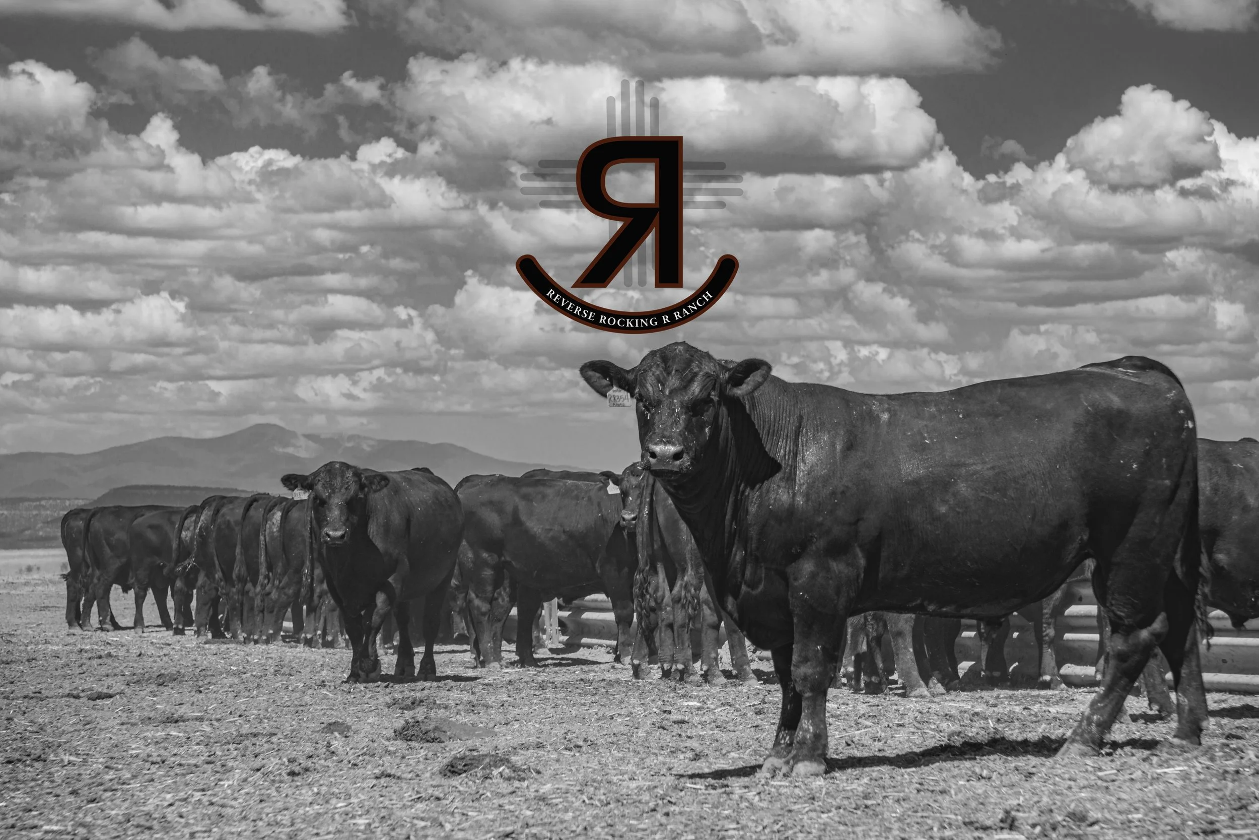 RRR 2026 Website.jpg