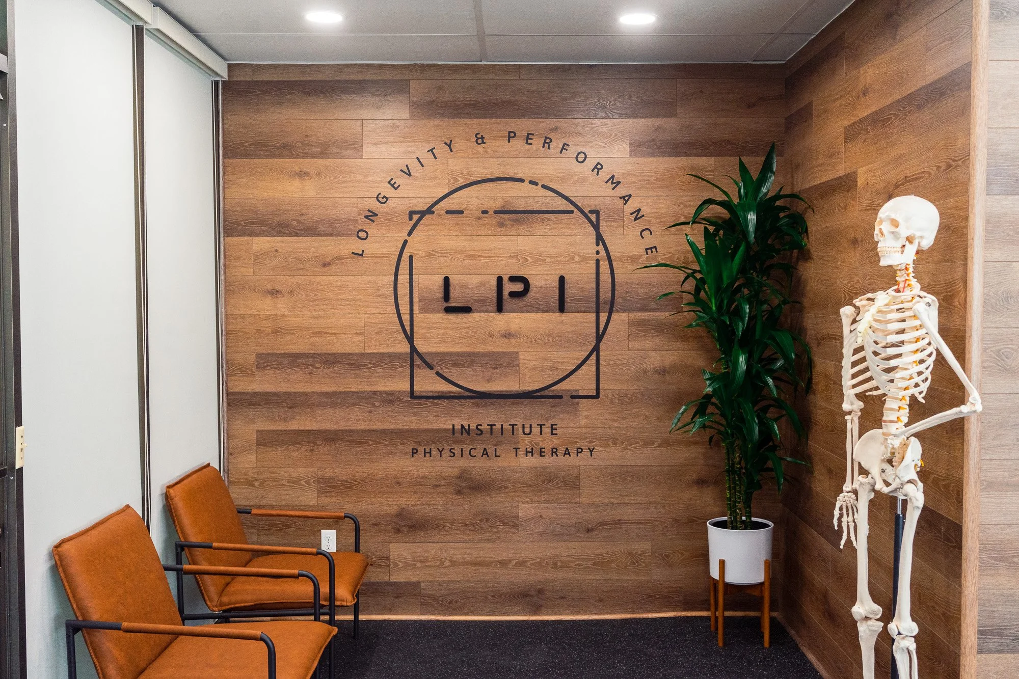 Physical therapy clinic interior with logo, chairs, a plant, and a skeleton model.