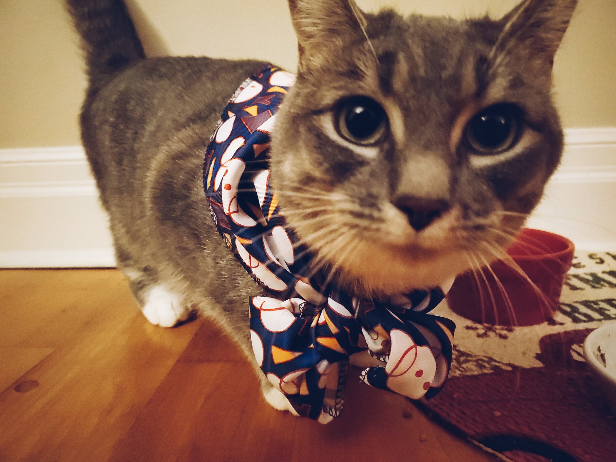  Navi wore this scarf for about 10min before she just compeltely gave up on life. 