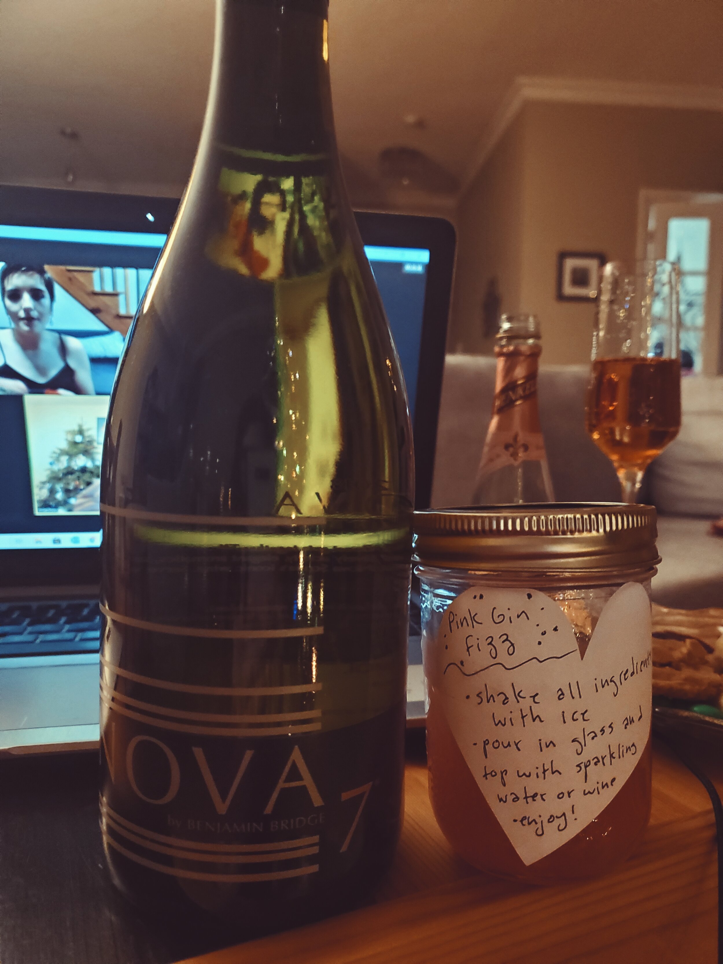  Mia bought us Nova 7 (if you know, you know) and the ingredients to make a pink gin fizz!!! I can’t wait to try this recipe!! Mia is always making fun new drinks and food so I have no doubt it will be amazing! 