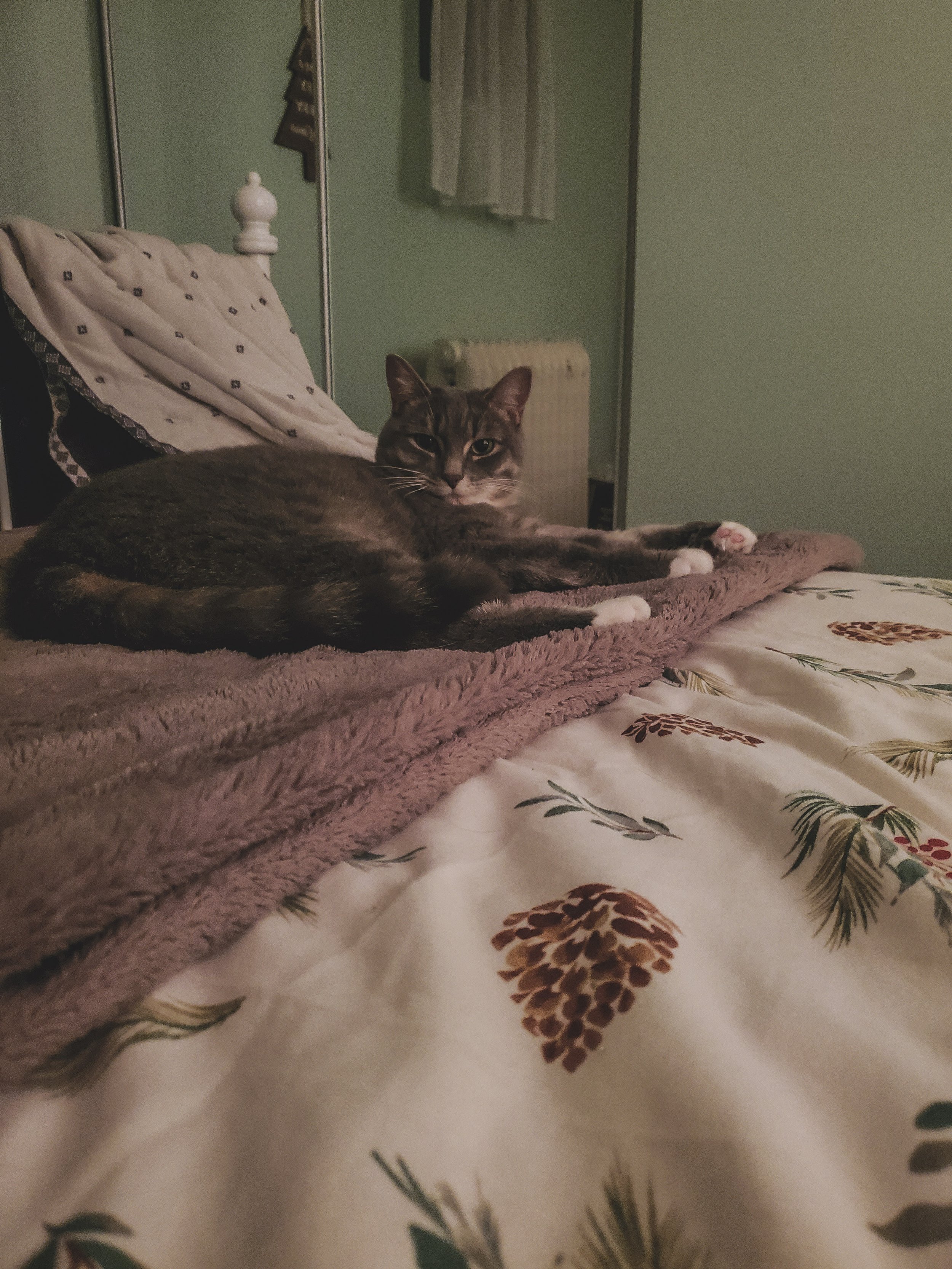  Navi decided she should test out my bedding first just to make sure it was ok for me to sleep in. 