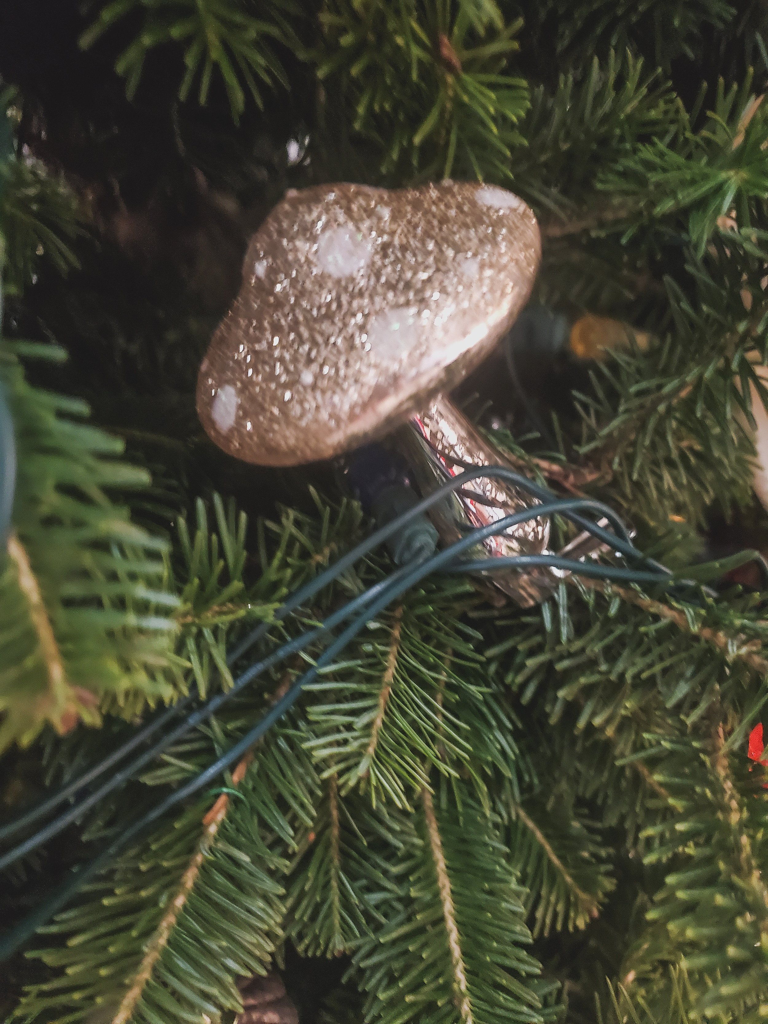  My favourite new decoration. I don’t even like to eat mushrooms but they are so cute when they are gold and sparkly. I also read a really great book about these wild mushrooms that had its own consciousness and so I’m weirdly into them for some reas