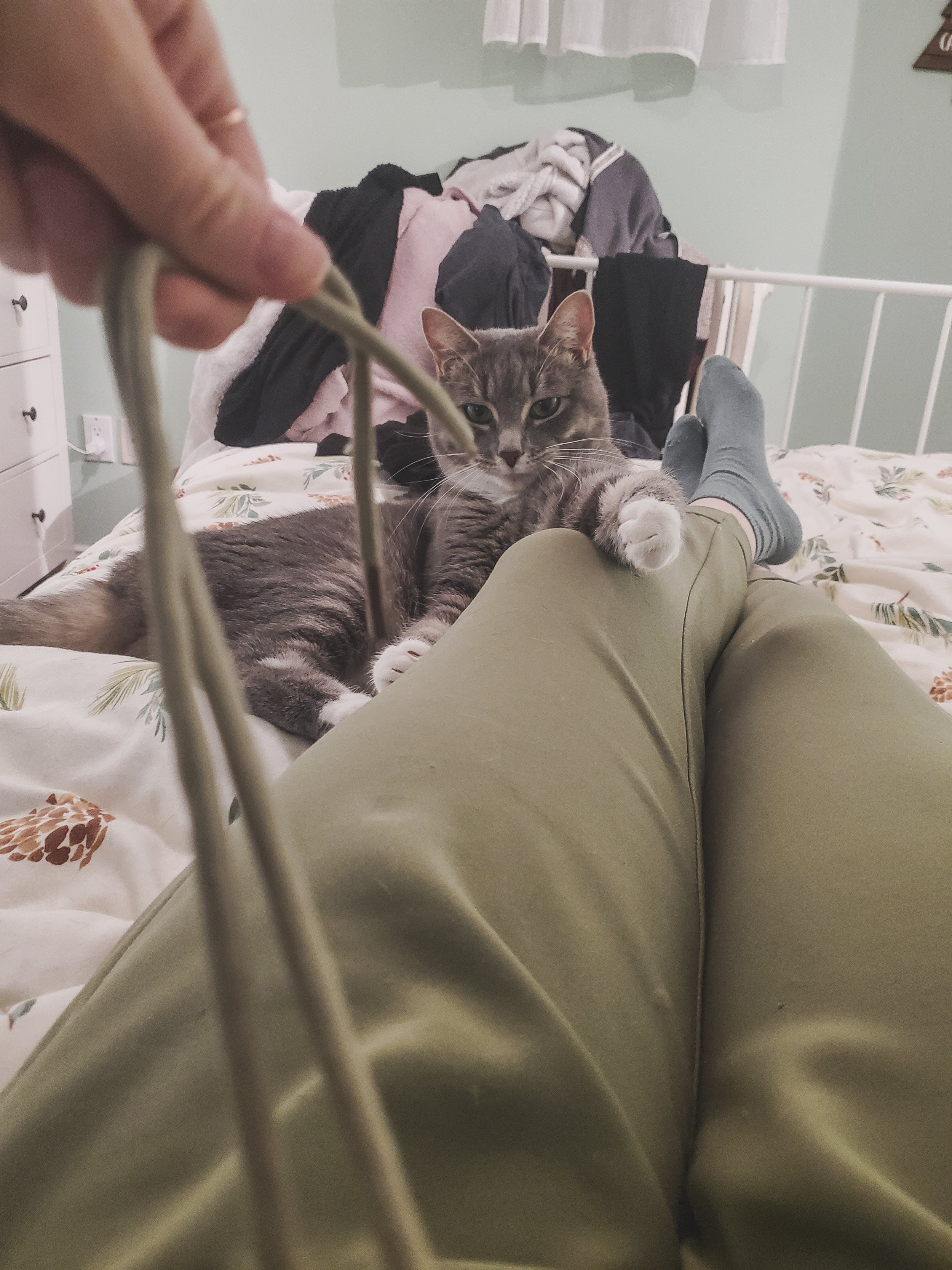  So desperate to play she’s playing with my pant strings. 