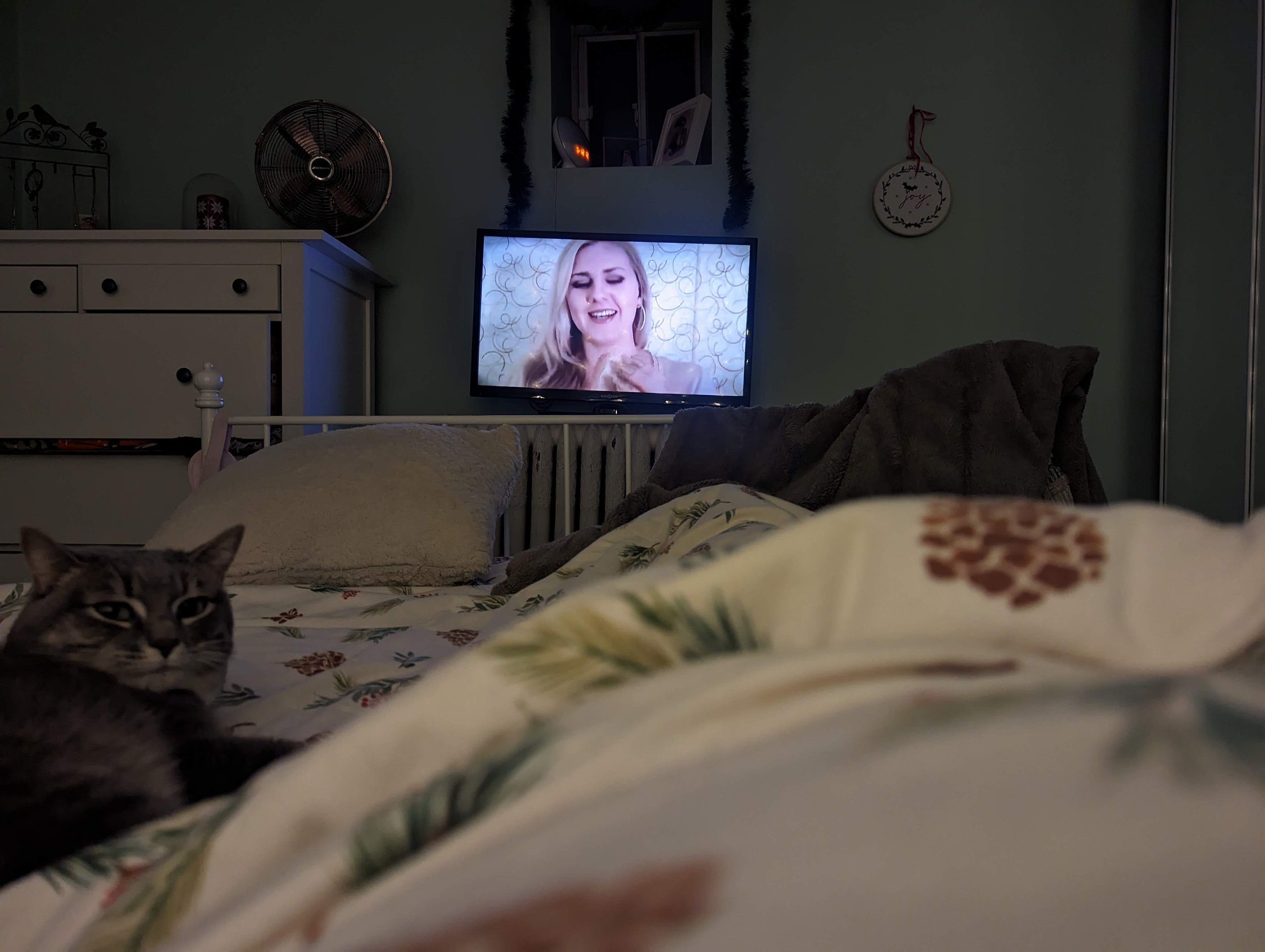  Ending the night with some ASMR in bed with my sweet kitty. 