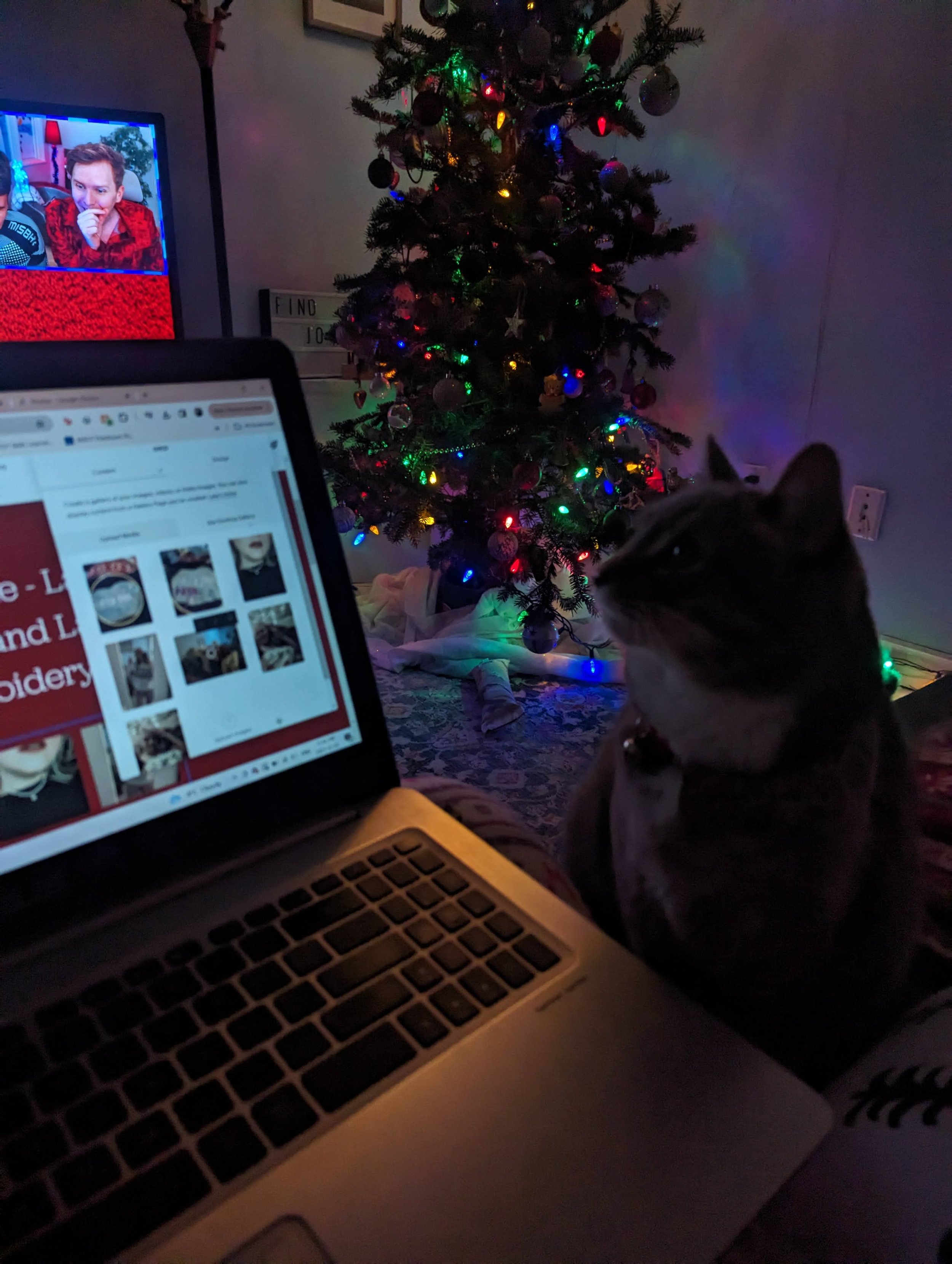  Finally some time to catch up on the blog with Navi by the tree before bed! 