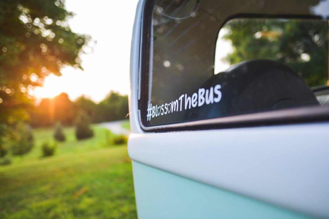 Working on getting all the things set up for our girl here in Ohio! Make sure you're following us on Facebook @blossomthebus, tik tok @blossomthebus and check out our website at www.blossomthebus.com! 

#blossomthebus #vwlife #vwrentals #vwphotobooth