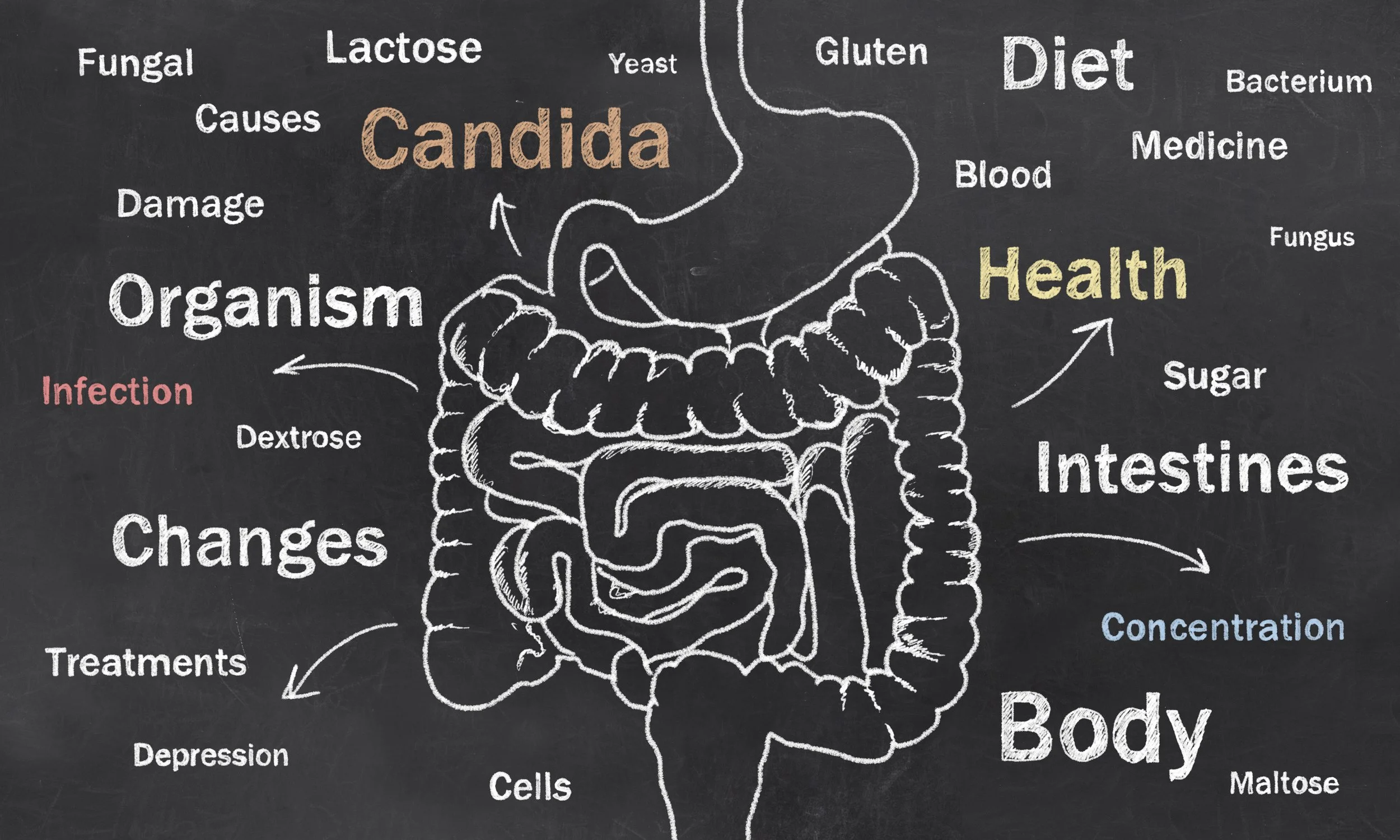 Candida: A Functional Medicine Approach in Orlando