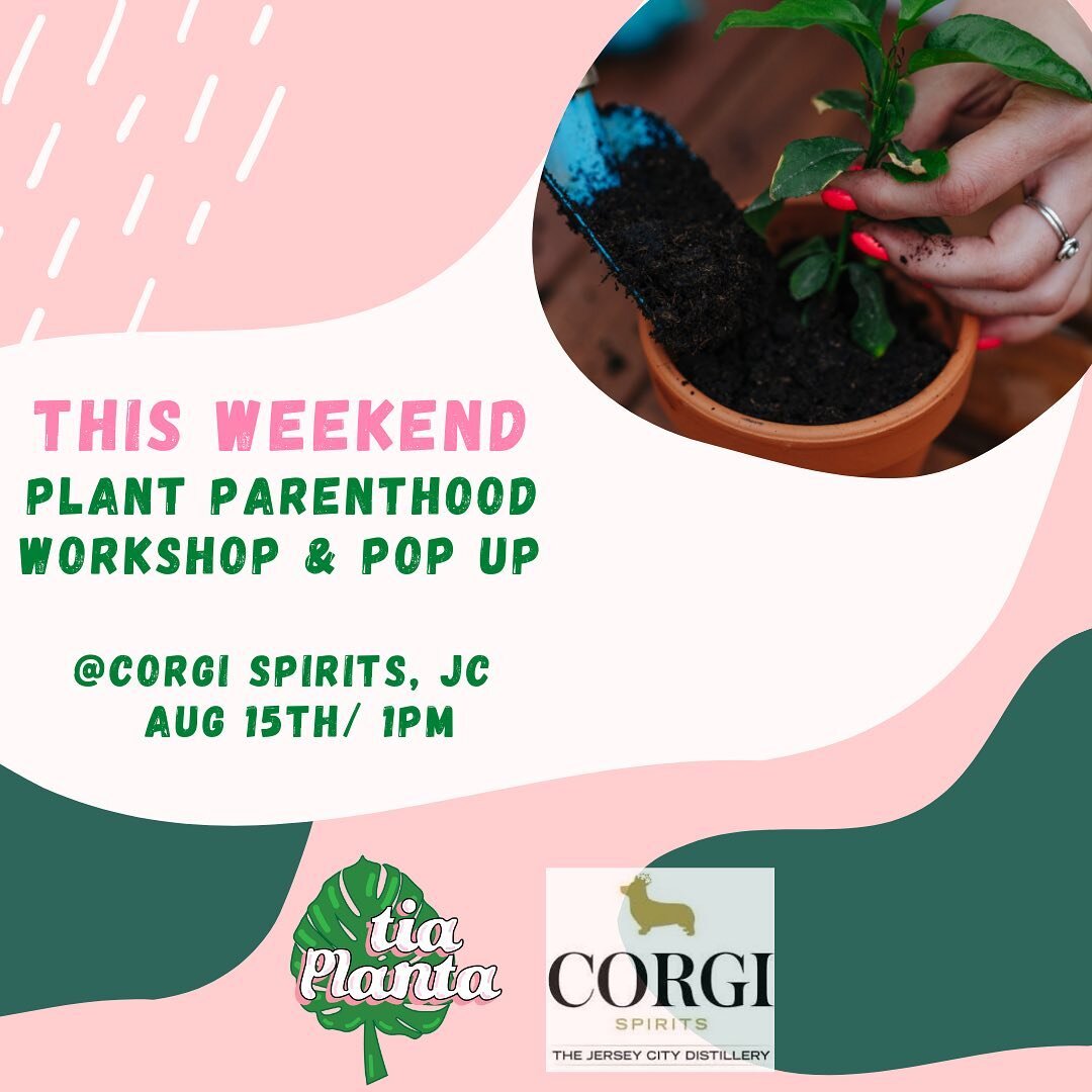 🪴 This weekend 🪴

We&rsquo;re baaaack @corgispirits. Join us for our popular plant parenthood workshop, where we teach ya&rsquo;ll intuitive plant care skills and have a fun time doin&rsquo; it 😉

1-2pm Plant Parenthood Workshop. We&rsquo;re gonna