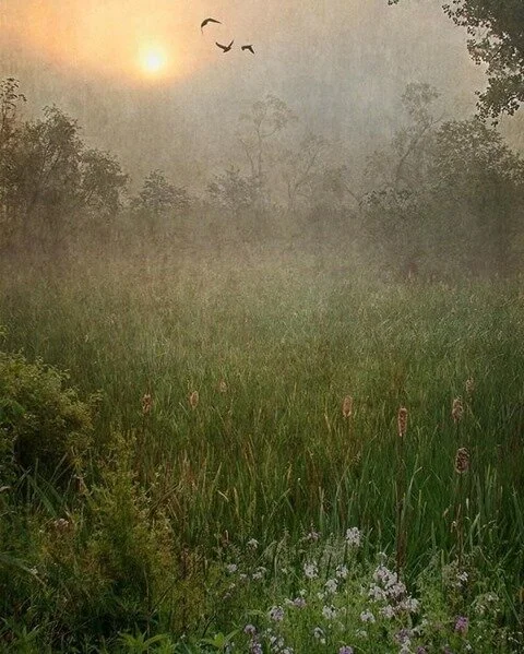 'Spring Sunrise In The Valley' Dale Kincaid, 2013