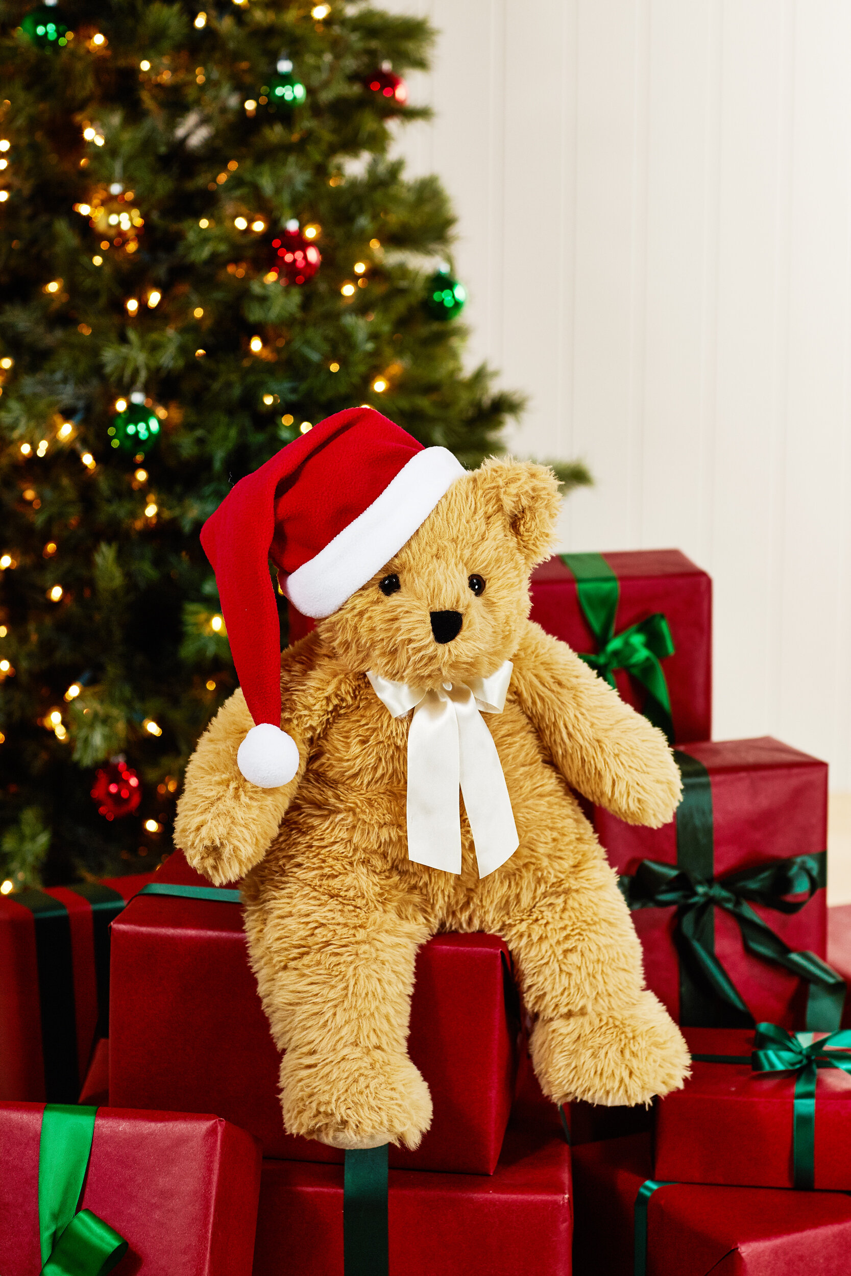 20'-World-Softest-Bear-with-Santa-Hat0711-WEB.jpg