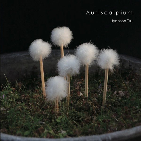 Jyonson Tsu – Auriscalpium