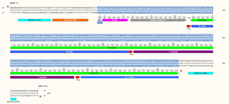 Gblock Design - Basic Design Theory for Complex Genetic Parts — NeoSynBio