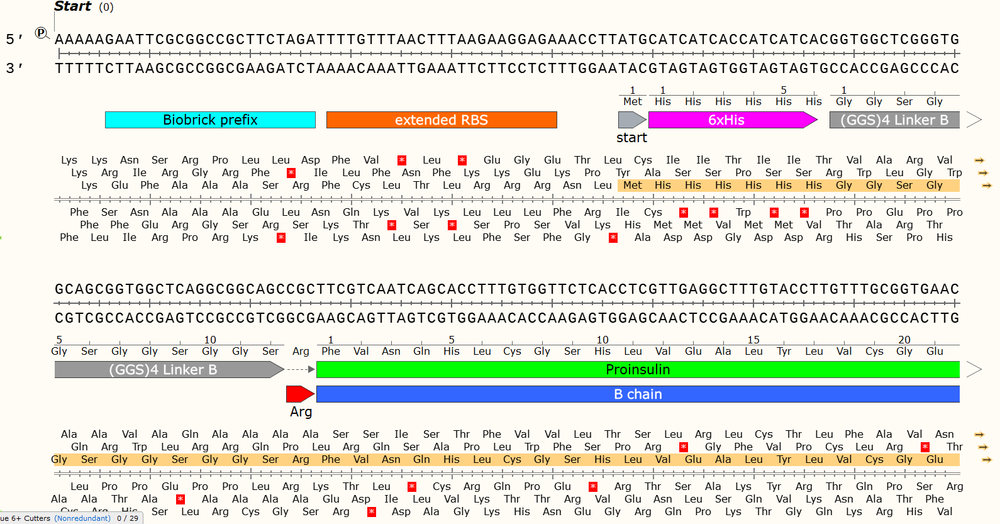 Gblock Design - Basic Design Theory for Complex Genetic Parts — NeoSynBio