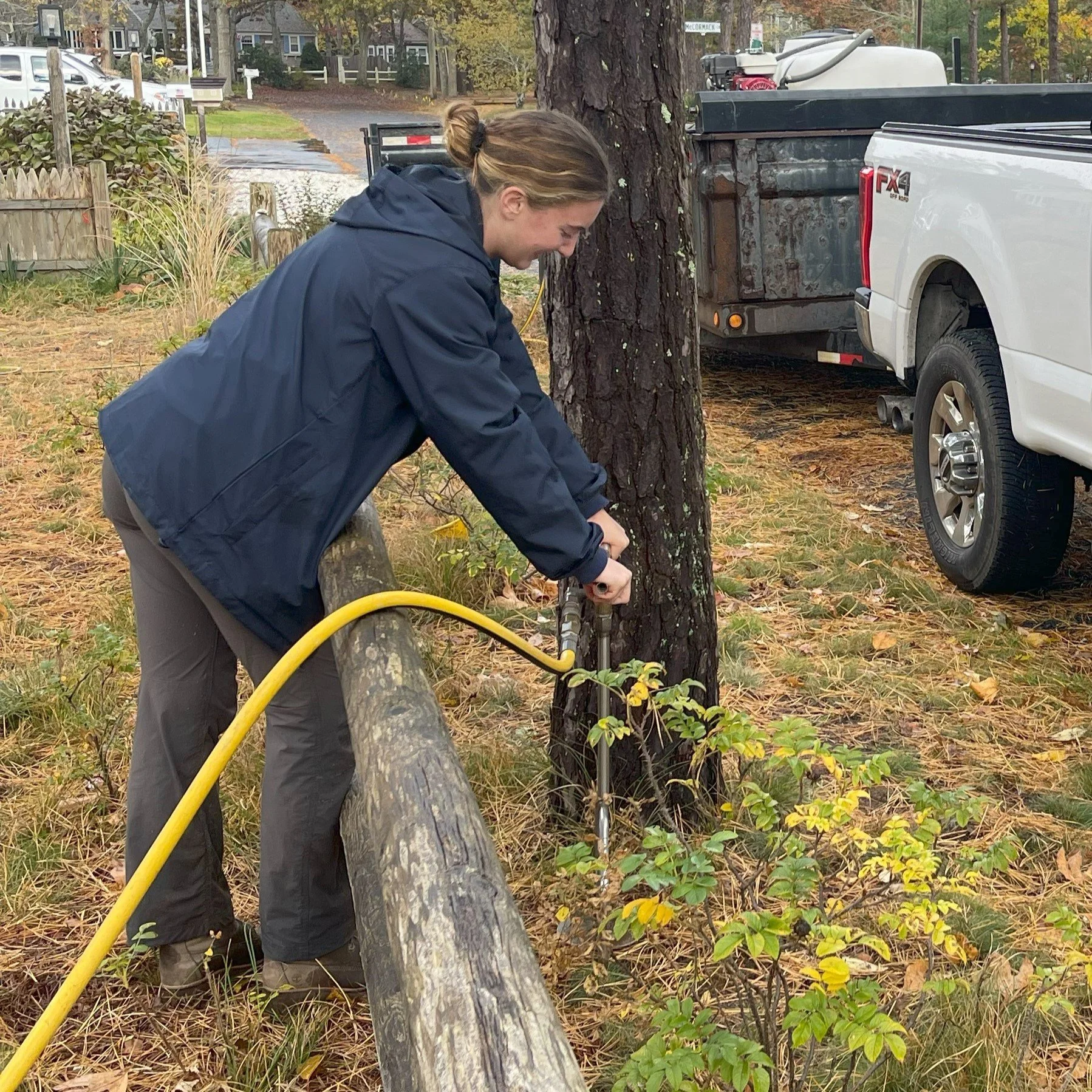 Deep Root Fertilizer
