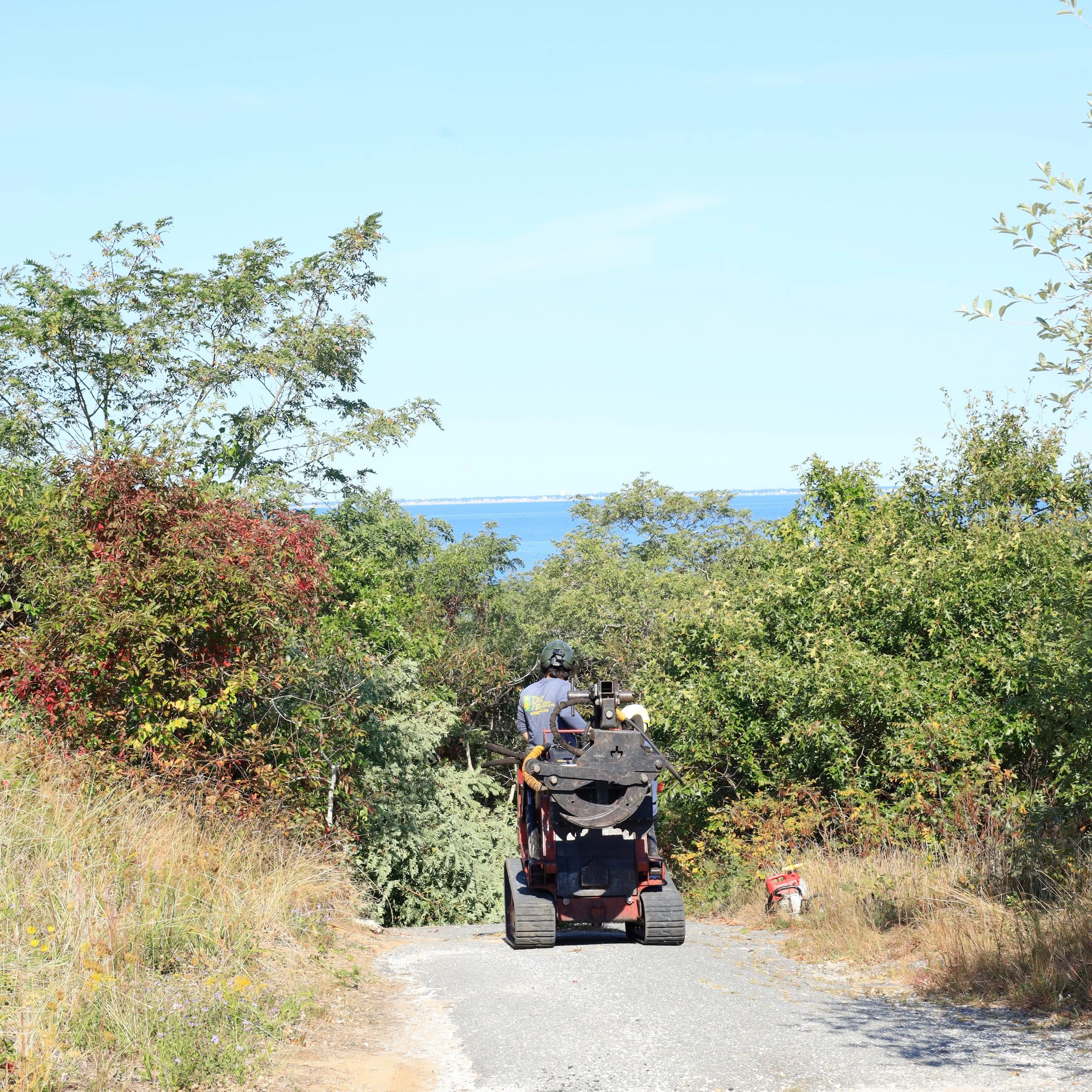 Truro Ocean View Cleanup