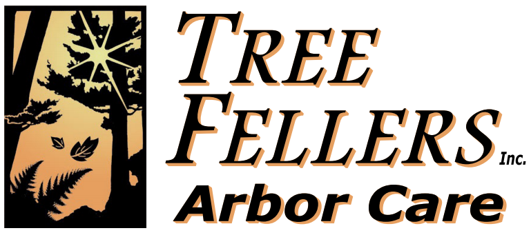 Tree Fellers